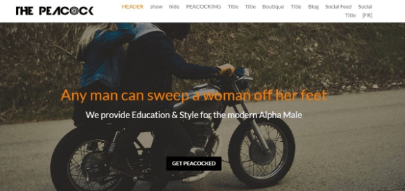 行銷網站 行銷網站